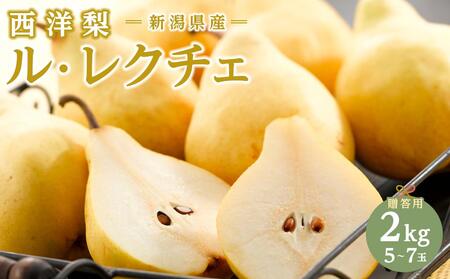 【2025年先行受付】新潟県産 西洋梨 ル・レクチェ 贈答用2kg 期間限定2025年12月上旬～12月下旬まで出荷予定