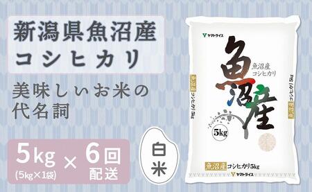 y֑S6zVYRVqJ5kgi󒍂̗疈zj