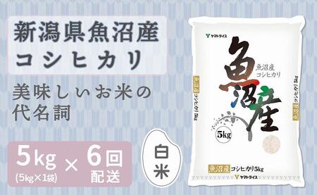 [定期便全6回]新潟県魚沼産コシヒカリ5kg