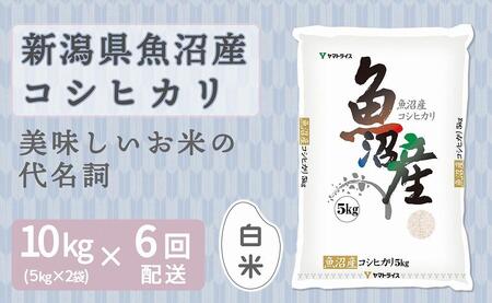 y֑S6zVYRVqJ10kgi󒍂̗疈zj
