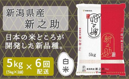 y֑S6zVYVV5kgi󒍂̗疈zj