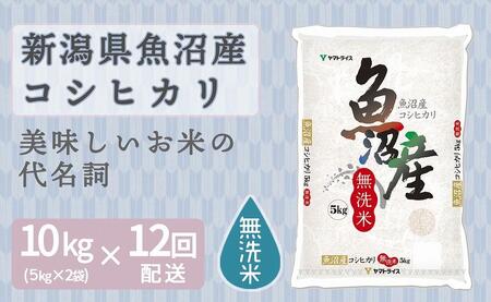y֑S12zĐVYRVqJ10kgi󒍂̗疈zj