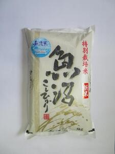 無洗米　魚沼産コシヒカリ特別栽培米　5kg