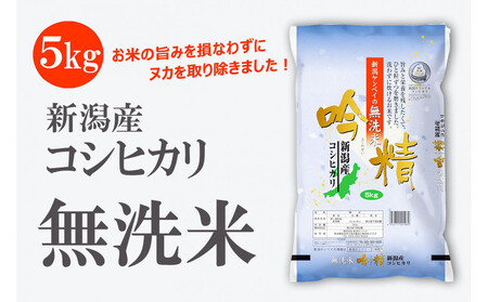 無洗米 吟精 新潟産コシヒカリ5kg 令和6年産 精米