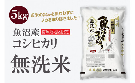 無洗米 吟精 南魚沼産コシヒカリ5kg 令和6年産 精米