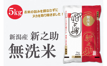 無洗米 新潟産 新之助5kg 令和6年産 精米