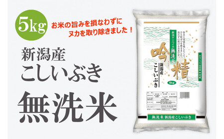 無洗米 吟精 新潟産 こしいぶき5kg 令和6年産 精米