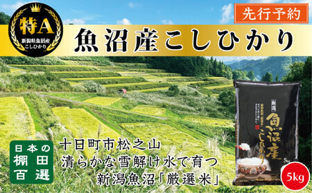 [令和7年産新米予約][食味鑑定士厳選] 日本の棚田百選 新潟県十日町(魚沼)産 コシヒカリ5kg(5kg×1)