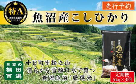 [令和7年産新米予約][3か月定期便]10月発送開始[食味鑑定士厳選]日本棚田百選・十日町(魚沼)産こしひかり 5kg全3回