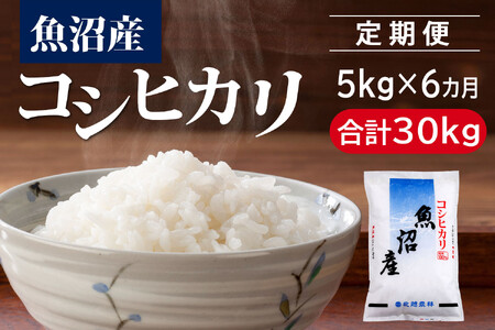 qߘa7NY Vāry6Jz YRVqJ 5kg×6iv30kgj