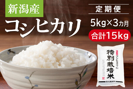 qߘa7NY Vāry3Jz ʍ͔| VYRVqJ 5kg×3iv15kgj