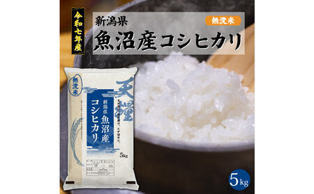 [定期便6回]令和7年産 新潟県 魚沼産 無洗米 コシヒカリ5kg 精米 一等米 天糧