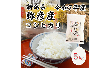 令和7年産 新潟県弥彦産コシヒカリ 美四季5kg 皇室献上米農家生産 特別栽培米
