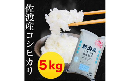 [令和7年度産]佐渡地区産コシヒカリ 5kg