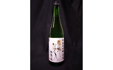 東洋美人 醇道一途 限定純米吟醸 春陽 720ml