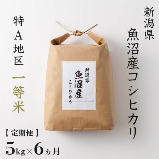 【 定期便】 5kg × 6ヶ月 特A 一等米 魚沼産 コシヒカリ 令和7年産　新潟　新潟県　こしひかり　魚沼　特A地区　5キロ　頒布会