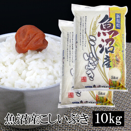 お米マイスター厳選！7年産魚沼産こしいぶき　10kg(5kg×2)