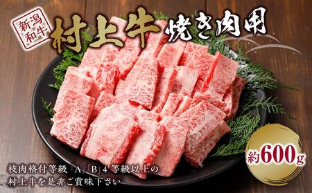 村上牛焼き肉用(約600g)|新潟 和牛 牛 村上牛 焼肉 新潟県 4等級 4等級以上 新潟県産