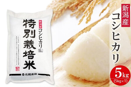 qߘa7NY Vārʍ͔| VYRVqJ 5kg  