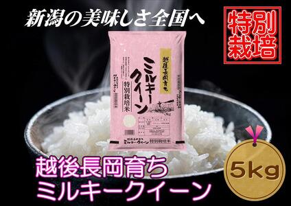 [特別栽培米]新潟県産ミルキークイーン 5kg(越後長岡育ち)