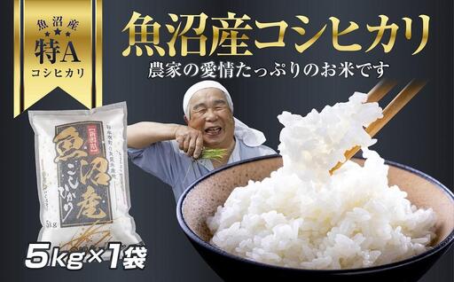 DH01 新潟県 魚沼産 コシヒカリ お米 5kg こしひかり  精米 米（お米の美味しい炊き方ガイド付き）