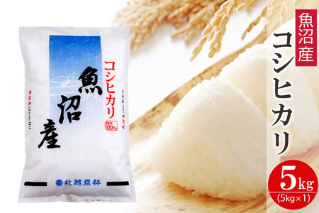 qߘa7NY Vār YRVqJ 5kg  