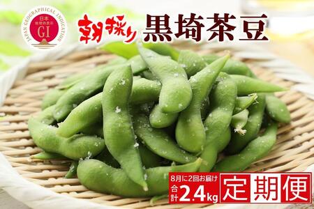 ys\ Q񂨓͂ ցz낳1.2kg×Q  2026N8 qfho^Yir