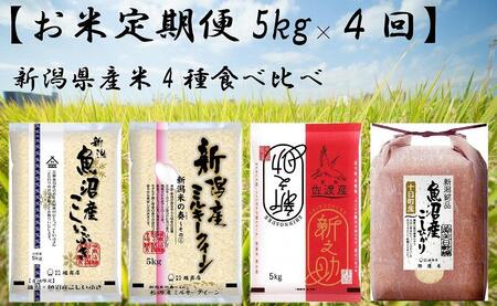 [お米定期便5kg×4回]新潟県産米4種食べ比べ