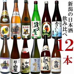 純米大吟醸入り!12種類もたのしめる!新潟地酒セット720ml×12本