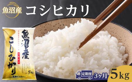 [3ヶ月定期便]令和7年産魚沼産コシヒカリ 5kg 2025年10月〜発送開始|新潟県 魚沼 こしひかり 令和7年産
