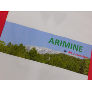 有峰文化村の2枚セットMサイズTシャツ_装飾品・工芸品 女性・レディース 洋服 装飾品・工芸品 男性・メンズ 洋服 _