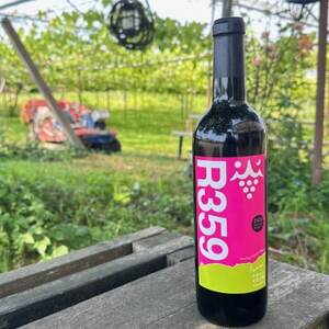 R359(サンゴク)2023[配送不可地域:離島]