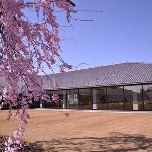 富山県水墨美術館友の会の個人特別会員スペシャルコース(1年分)_旅行券・チケット   _【1397089】