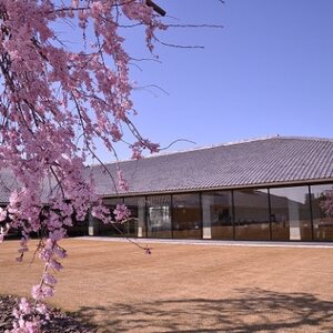 富山県水墨美術館友の会の個人特別会員プレミアムコース(1年分)_旅行券・チケット   _【1397094】