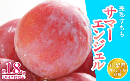 山梨県オリジナル品種の完熟すもも「サマーエンジェル」舌の上でとろけるなめらかな果肉[配送不可地域:離島・沖縄県]