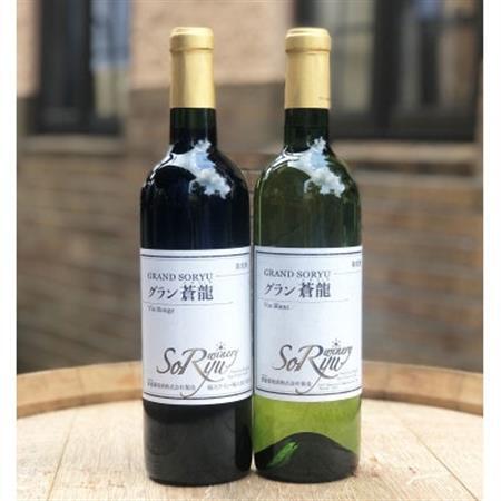 山梨県よりお届け「蒼龍葡萄酒」の定番ワイン赤白2本セット(720ml×2本)[配送不可地域:離島]