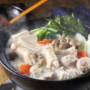 コラーゲンたっぷり!地鶏水炊きセット(白湯鍋) 2-3人前[配送不可地域:離島]