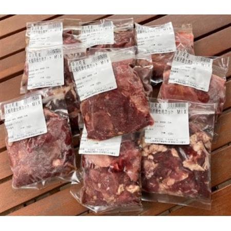 【早川ジビエ】ペット用鹿肉100g×30パックセット【配送不可地域：離島】【1526689】