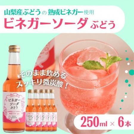 山梨産ぶどう100%の熟成ビネガーで造った!そのまま飲める[ビネガーソーダぶどう6本セット][配送不可地域:離島]