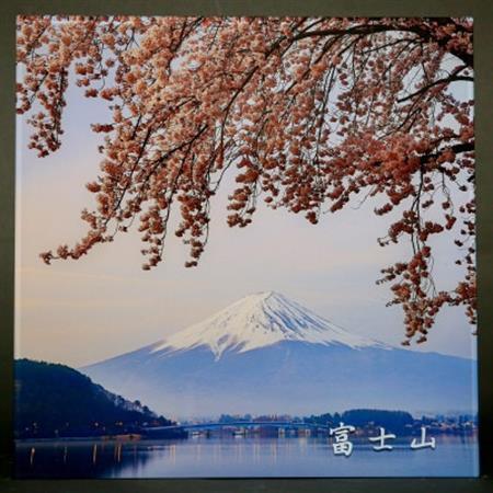 富士山アクリルパネル　30SQ　春【配送不可地域：離島】【1542239】