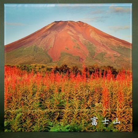 富士山アクリルパネル　30SQ　夏【配送不可地域：離島】【1542273】