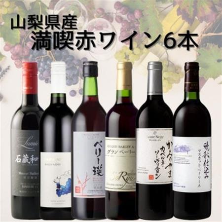 山梨県産ワイン満喫赤6本セット(3)004【配送不可地域：離島】【1606780】