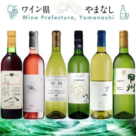 山梨ワイン 注目生産者の定番ワイン 6本セット[配送不可地域:離島]