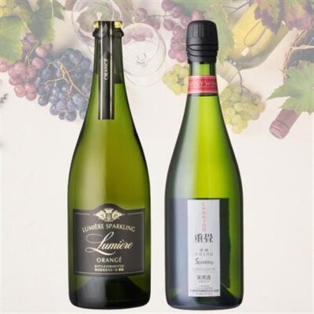 スパークリングワイン2本セット(4)　040【配送不可地域：離島】【1641900】