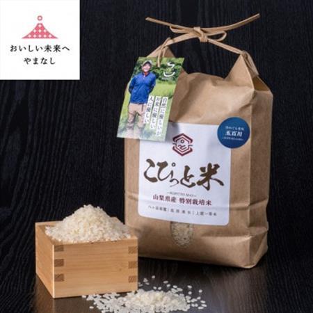 冷めても美味しい!【令和7年産】こぴっと米【五百川】白米・2kg　特別栽培米【配送不可地域：離島】【1652042】