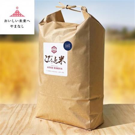 冷めても美味しい!【令和7年産】こぴっと米【五百川】白米・10kg　特別栽培米【配送不可地域：離島】【1652044】