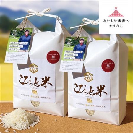 きわだつ大粒!【令和7年産】こぴっと米【極】白米・4kg　特別栽培米【配送不可地域：離島】【1652052】