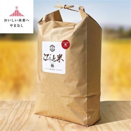 きわだつ大粒!【令和7年産】こぴっと米【極】白米・10kg　特別栽培米【配送不可地域：離島】【1652053】