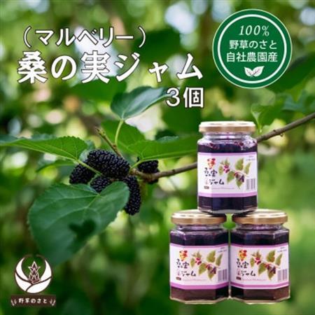 桑の実ジャム150g(3個)【1670288】