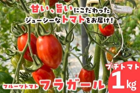 フルーツトマト フラガール1kg よこた農園 (ミニトマト プチトマト ぷちとまと 高糖度)